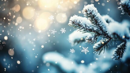 Wall Mural - A close-up of snowflakes on a pine tree branch, softly illuminated by natural light