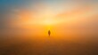 © Leli - A lone person strolls at dawn embraced by mist as the sun begins to rise