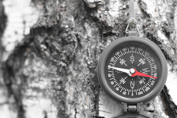 Wall Mural - classic navigation compass on natural background