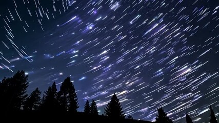 Aufkleber - Stunning star trails streak through the night sky above a dark forest, captivating viewers with a peaceful scene of celestial wonders in blue, purple, black, and white hues