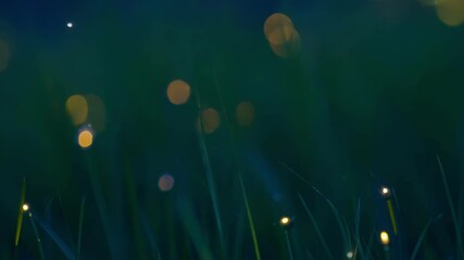 Aufkleber - Fireflies light up a grassy field at twilight, creating a magical and tranquil atmosphere with their glowing bioluminescence