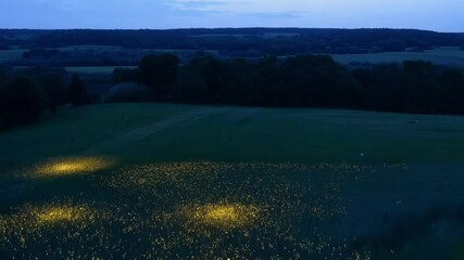 Aufkleber - Fireflies are illuminating a green meadow at twilight, creating a magical and enchanting atmosphere. The rolling hills and distant forests add to the beauty of the scene