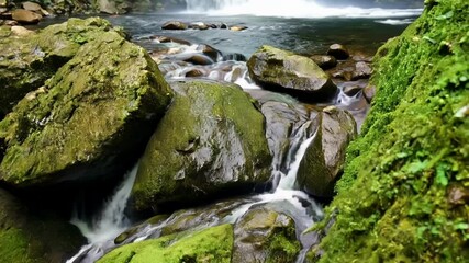 Aufkleber - Water cascading over mossy rocks in a lush forest waterfall, capturing nature's beauty with a serene stream flowing peacefully