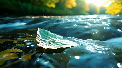 Aufkleber - Large green leaf with clearly defined veins floats on the surface of a flowing river. The sunlight shines through the leaf and creates a warm glow