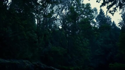 Poster - Water is rushing over rocks in this dark and moody image of a river flowing through a forest as the sky begins to show the last light of day
