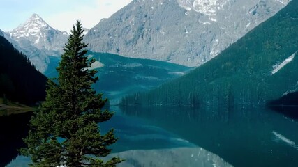 Poster - Lone pine tree is growing in the middle of a clear mountain lake reflecting the surrounding peaks and forests. The water is a deep blue color