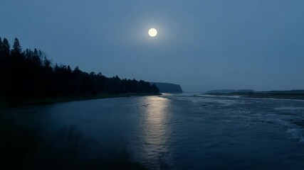 Poster - River flows under a full moon in a dark forest, creating mesmerizing rapids and reflecting moonlight for a serene atmosphere