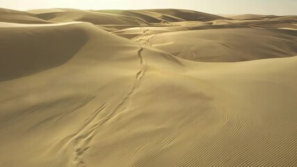 Poster - Winding tire tracks cross vast desert sand dunes on a sunny day, creating mesmerizing patterns in the golden sand