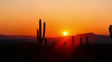 Poster - The glowing sun is setting behind a mountain range, casting warm light and creating silhouettes of  cacti in the  desert
