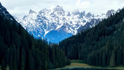 Poster - Serene scene with a dark green forest reflected in a blue lake, snowy mountains in the distance. Nature's beauty on display in an alpine setting. Perfect escape in the , 