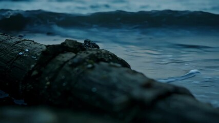 Aufkleber - Old log on a sandy beach at twilight, waves crashing, creating a serene atmosphere with blue and green hues blending seamlessly. Perfect for a relaxing vibe