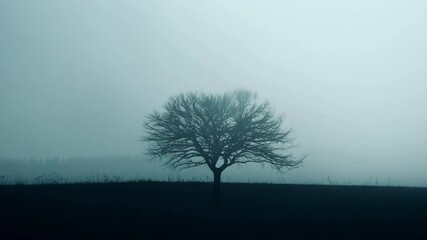 Aufkleber - Lone, bare tree is standing on a hill in the middle of a field, surrounded by a thick fog creating a mysterious and desolate atmosphere