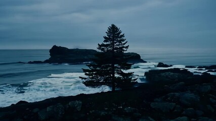 Poster - Lone pine tree is silhouetted against the twilight sky, standing tall on a rocky coastline as waves crash against the shore