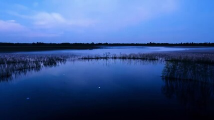 Poster - Tranquil lake reflects the twilight sky, with reeds adding to the beauty of the landscape, creating a serene and peaceful atmosphere under a calming blue evening sky