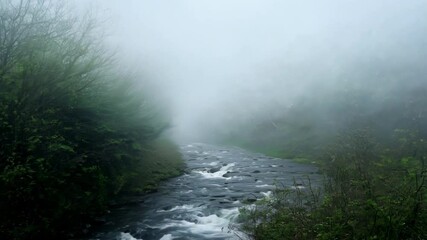 Poster - Cold, blue toned image of a rocky river flowing through a misty forest. The fog is thick and obscures the trees and background