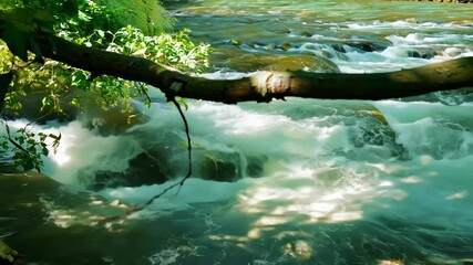 Aufkleber - The sunlight gently dapples the rapids of a wild river, as it rushes over rocks through a lush green forest, creating a tranquil and peaceful scene in the heart of nature