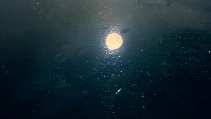 Poster - Romantic couple kisses underwater under moonlight, surrounded by love, passion, and intimacy in a serene, magical moment
