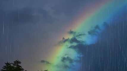 Poster - Vibrant rainbow shines in a stormy sky, lighting up a green forest as rain falls. The contrast of colors creates a peaceful scene of hope and serenity. Perfect for any project