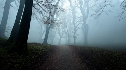 Aufkleber - Pathway is winding through a dark and foggy forest with leafless trees in autumn. The sun is rising and creating a mystical atmosphere