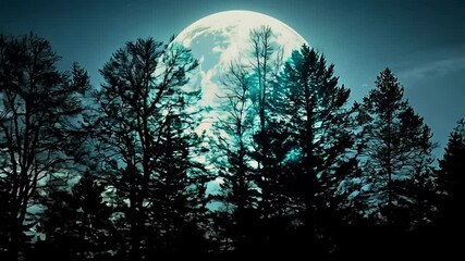 Aufkleber - Full moon rises in a dark, blue night sky, casting a magical glow on bare tree branches, creating an eerie and mysterious scene perfect for halloween or fantasy backgrounds
