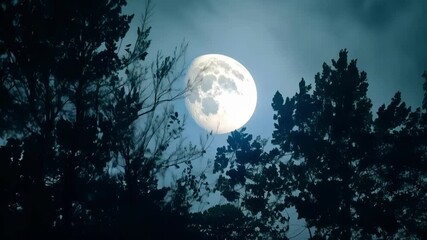 Aufkleber - Spooky night with a bright full moon shining on tree branches, creating a mysterious atmosphere perfect for halloween designs