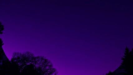 Aufkleber - The last light of a setting sun paints the sky in shades of purple, with silhouettes of trees visible in the foreground