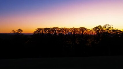 Poster - The branches of a row of trees are silhouetted against a vivid and colorful sunset sky, creating a dramatic and peaceful scene