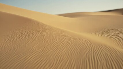 Poster - The wind gently sweeps across the arid desert, creating mesmerizing ripples on golden sand dunes under the hot sun