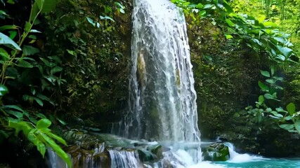 Poster - Water cascading down a small cliff in a lush green tropical jungle. Creating a serene and tranquil scene capturing the beauty of nature in this wild paradise