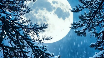 Poster - Snow falls gently on pine tree branches, moonlight casting a soft glow on the winter night, creating a serene and magical scene in a snowy forest