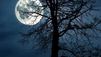 Aufkleber - Spooky yet serene tree silhouette under a full moon on a dark night, perfect for halloween or a peaceful evening in autumn or winter