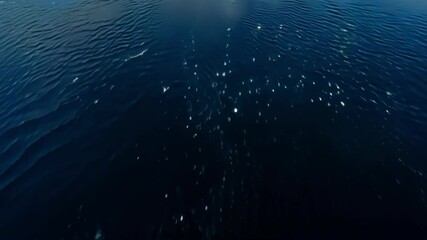 Poster - Aerial view of a dark blue ocean water surface with tiny white floating debris, perfect for environmental or nature themed projects