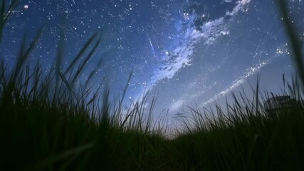 Aufkleber - Green grass grows under the milky way galaxy in the night sky, creating a serene and beautiful background. The landscape is bathed in starlight, making it a peaceful scene to behold