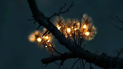 Aufkleber - Glowing seed pods hang delicately from a tree branch in serene evening light, creating a magical, tranquil scene