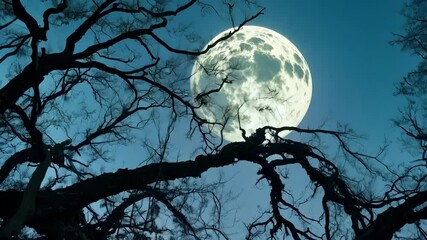 Aufkleber - Bright full moon is illuminating the dark sky and the twisted branches of a spooky tree, creating an eerie and mysterious atmosphere