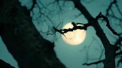 Poster - Haunting tree silhouette against a full moon in a teal sky, perfect for halloween. Illuminated by lunar light, creating a magical night scene