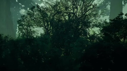 Aufkleber - Sun shining through trees creates mysterious forest atmosphere with lush green foliage and dappled sunlight, capturing nature's beauty