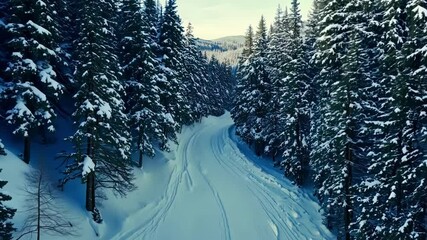 Aufkleber - Winding snow covered road cuts through a serene winter forest from an aerial view. With the sun shining brightly in the clear blue sky