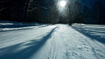 Aufkleber - Moonlit winter night on a snowy slope, with shadows of trees. Peaceful solitude for contemplation or winter adventure