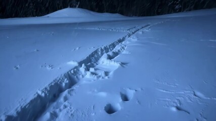 Aufkleber - Snowmobile tracks are illuminated by the moon as they lead through a snowy landscape at night, with snow covered trees in the background