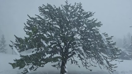 Aufkleber - Lone tree is enduring a heavy snowstorm, with snowflakes blowing through its branches, creating a serene and captivating winter scene