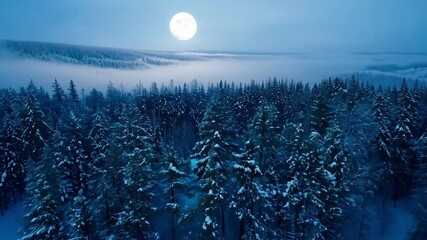 Aufkleber - Foggy winter night blankets a snowy forest under a full moon, creating a serene, tranquil scene with frost covered trees aglow in moonlight