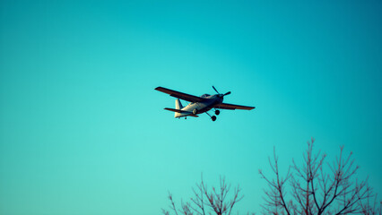 Whimsical Flight: A Small Airplane Soaring Gracefully Above a Tree in a Bright Sky