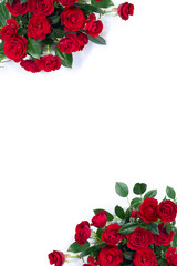 Wall Mural - red flowers roses on a white background with space for text. top view, flat lay
