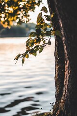 Sticker - Tranquil Nature Scene: A close-up of tree leaves by a serene lake reflecting warm sunlight, perfect for relaxation and inspiration.