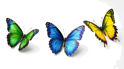 Poster - Colorful Butterflies in Flight Showcasing Blue Yellow and Green Hues Generative AI