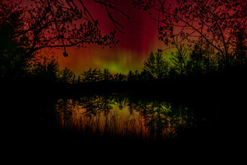 Gentle aurora curtains of red and green dance over a small pond