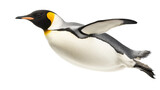 happy penguin jumping, isolated, transparent, png background