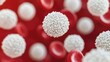 © Tin - White blood cells in human blood, isolated view with red blood cells.