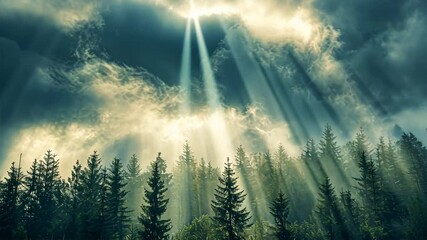 Poster - Celestial Forest: Sunbeams pierce through dramatic clouds, illuminating a serene evergreen forest in a breathtaking display of nature's power.  